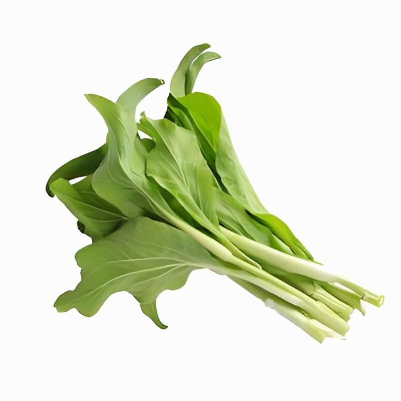 横沥超市蔬菜配送哪家好