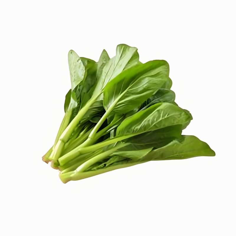 苗桥蔬菜配送站电话查询