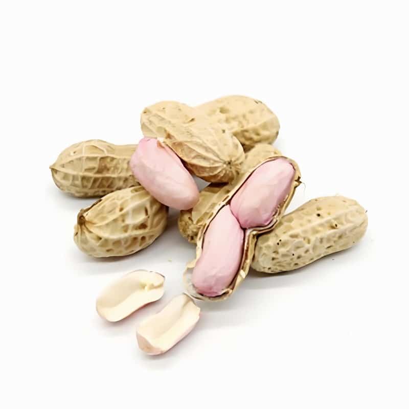 深圳农产品蔬菜配送公司