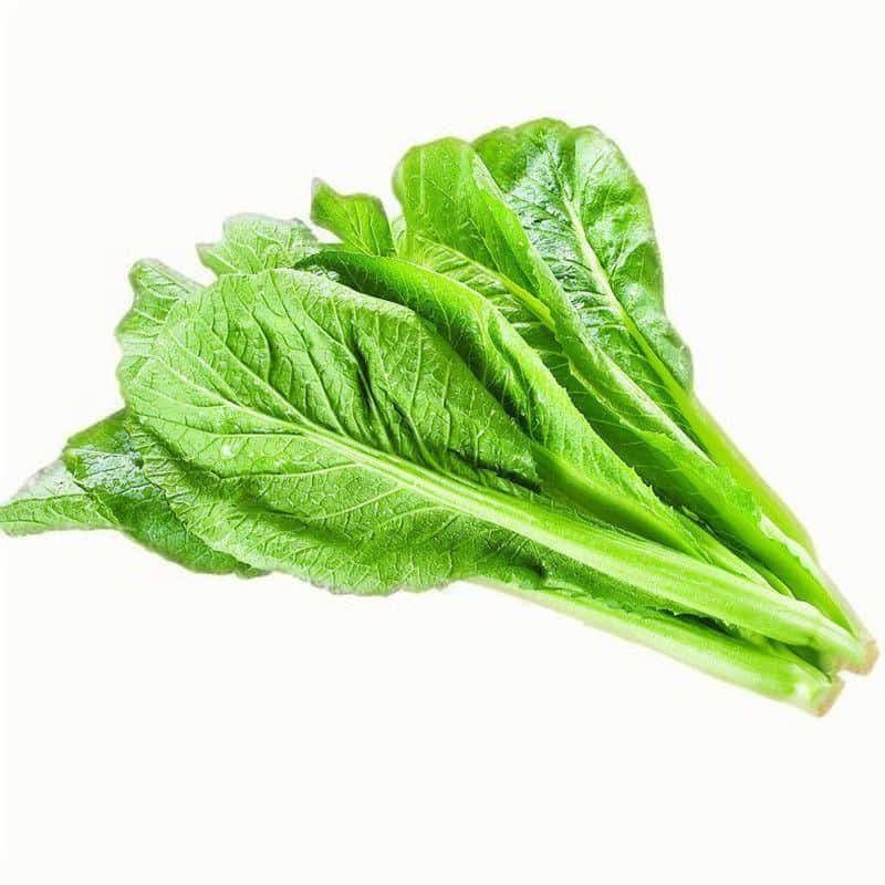 昆山黄瓜蔬菜配送服务商