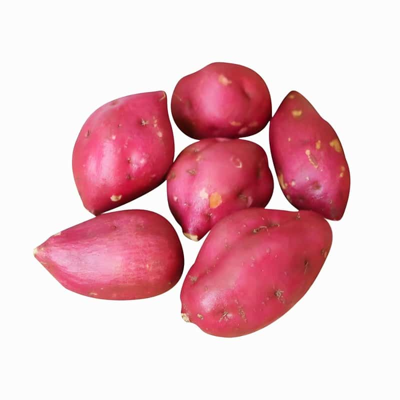 佛山配送蔬菜员招聘网络