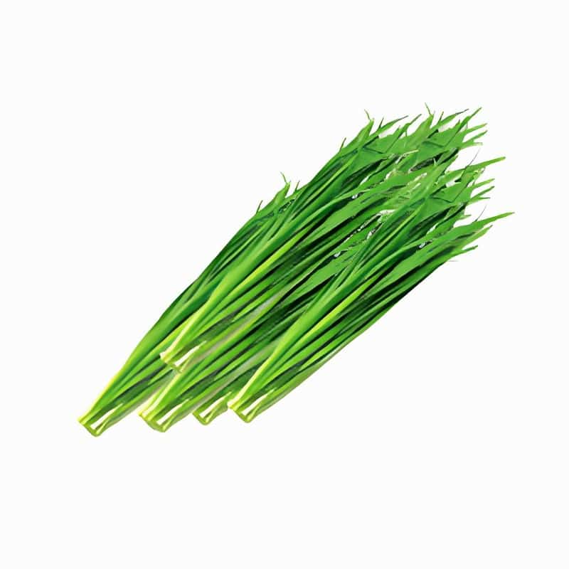 配送蔬菜人员工资待遇