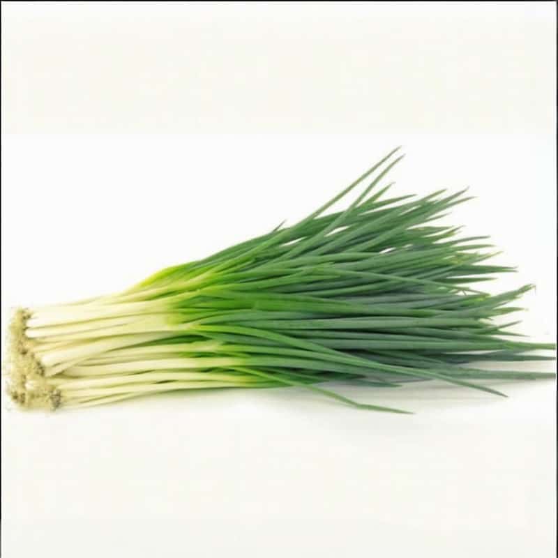 蔬菜苹果配送模式图解法