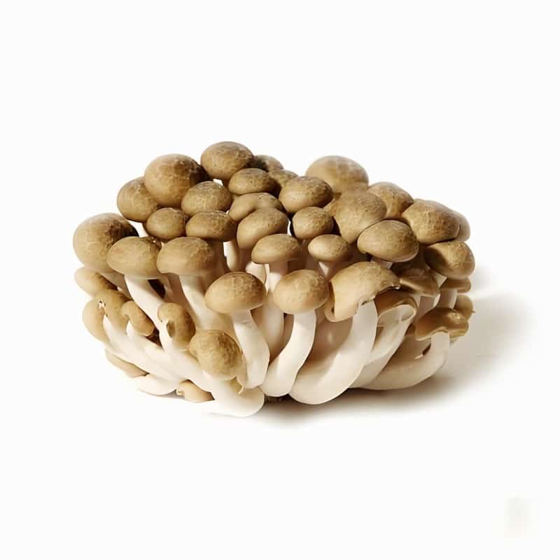 海淀蔬菜配送厂家招聘网