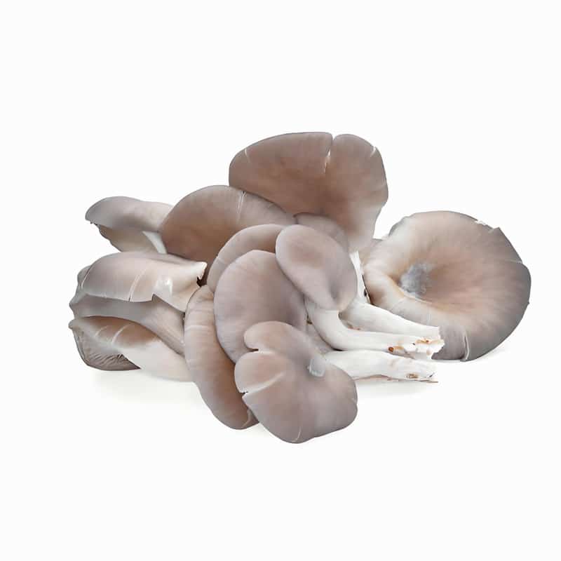 天津蔬菜配送时间表最新