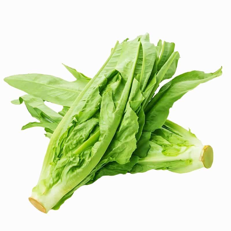 盐城蔬菜配送投标书模板