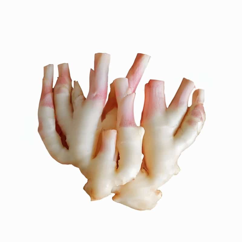 三灶镇蔬菜配送公司招聘