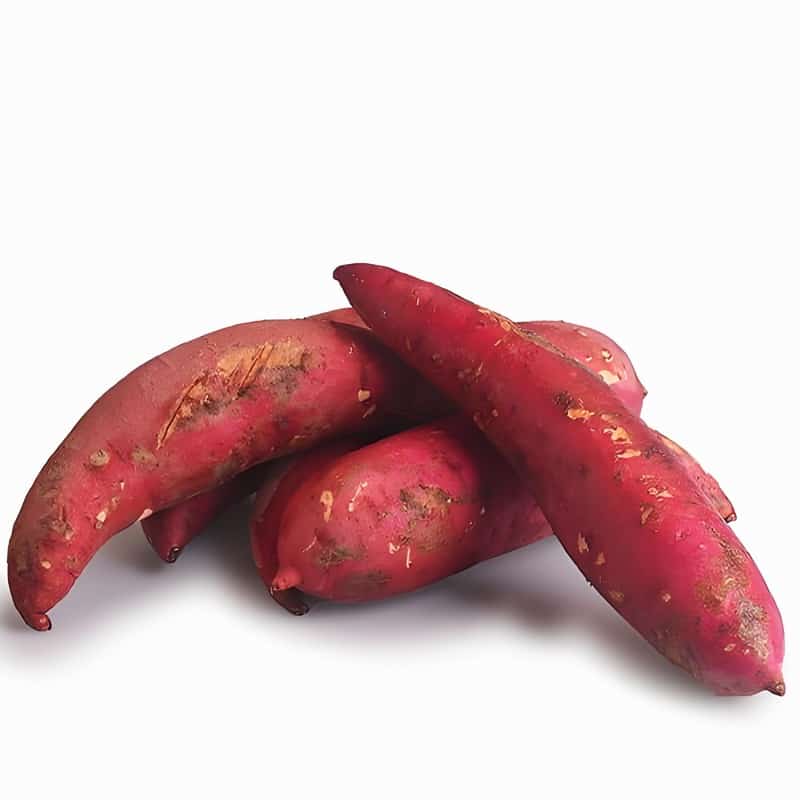 东莞大岭山公司蔬菜配送