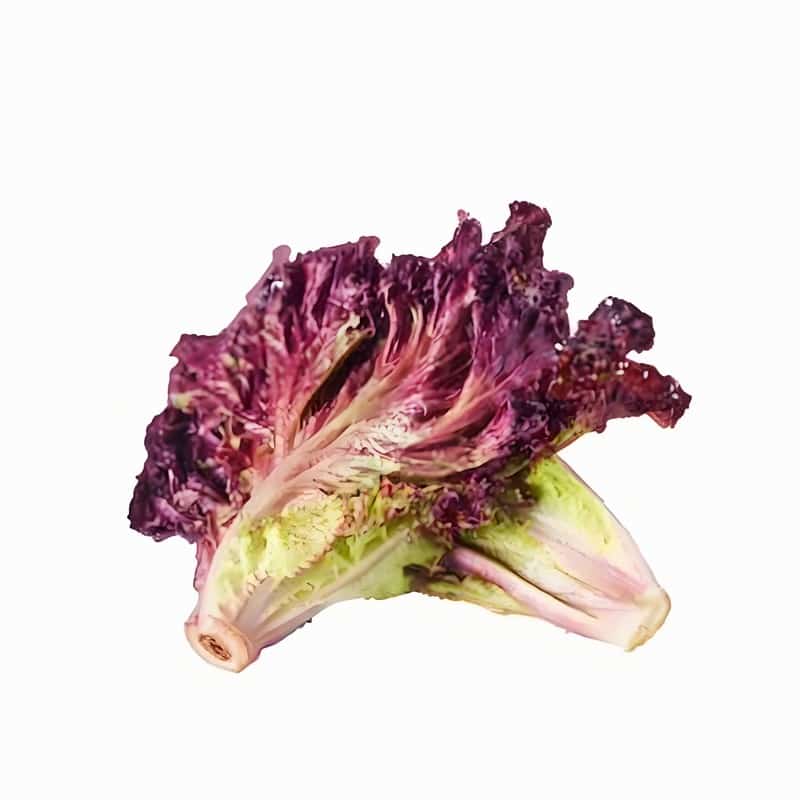 普陀区配送水果蔬菜模式