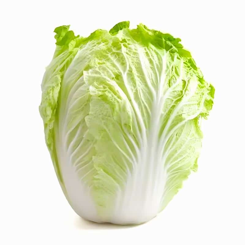 大足蔬菜配送供应站地址