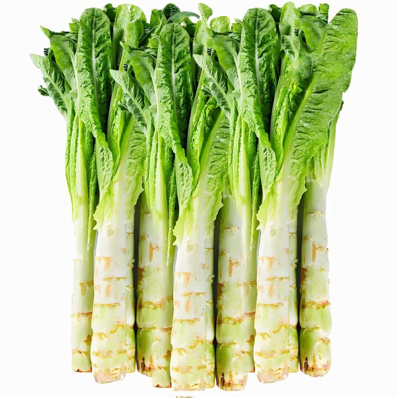 三泰蔬菜配送公司地址