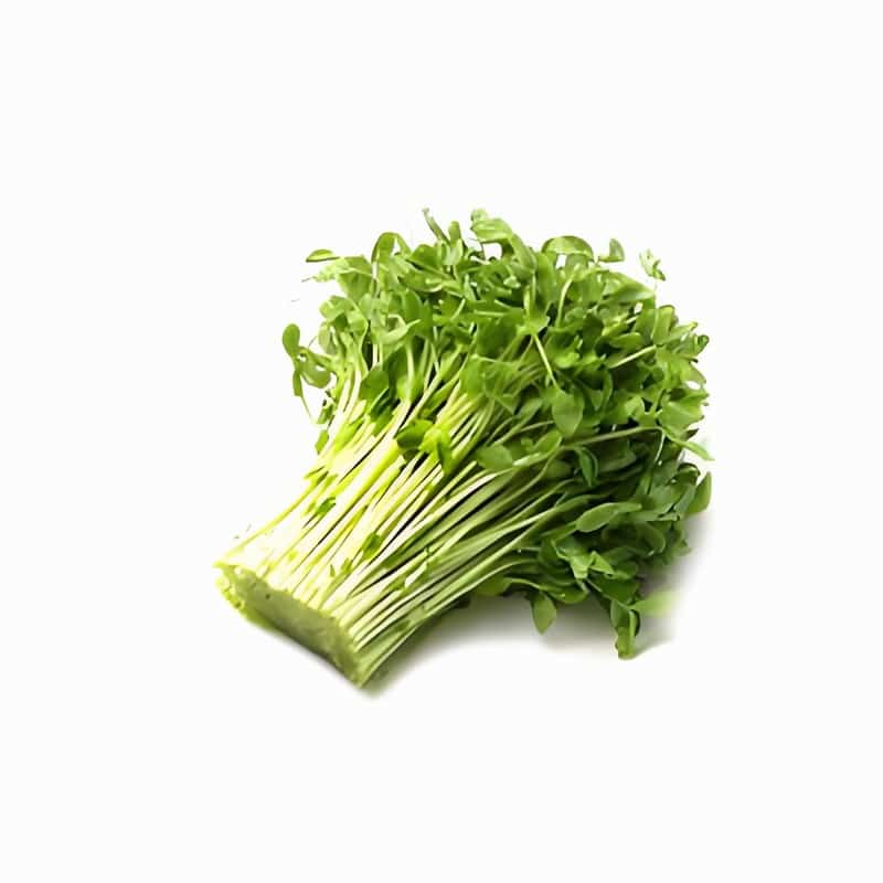 光明蔬菜配送企业名称大全