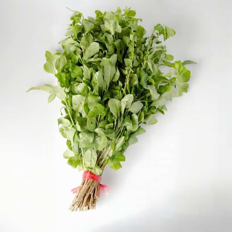 横岗蔬菜配送厂家有哪些