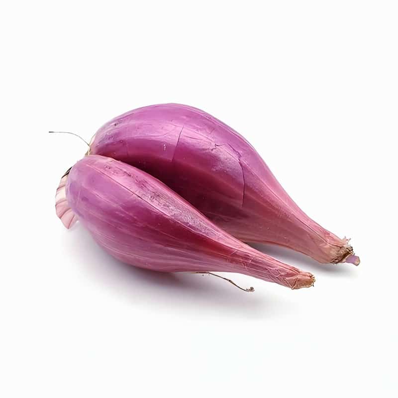 拉萨配送蔬菜公司招聘网