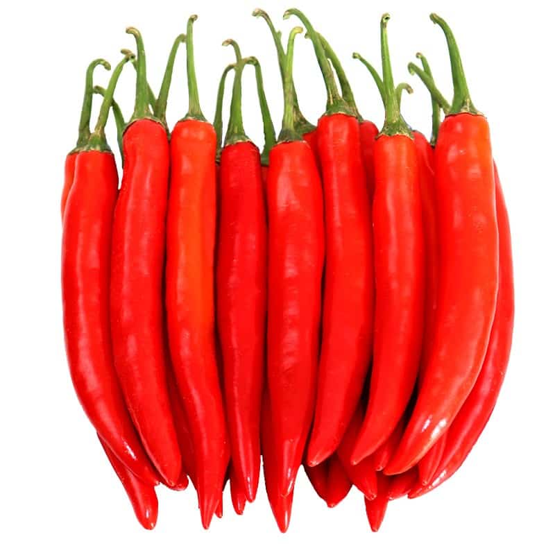 萝岗蔬菜配送采购信息表