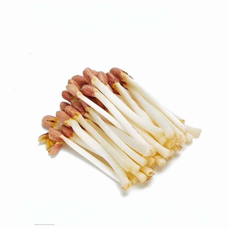 广宁县蔬菜配送公司电话