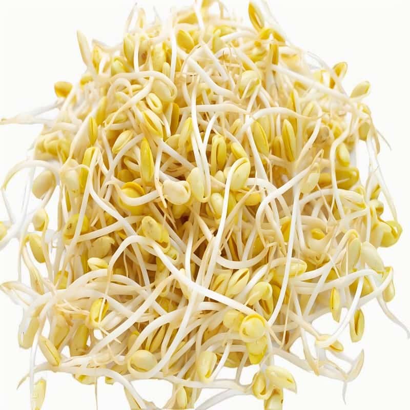 商河招聘蔬菜配送工作员